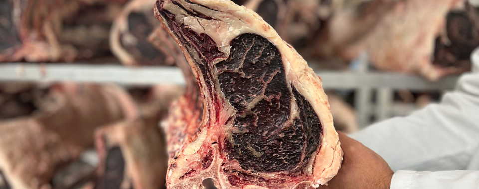 960 x 380 website image