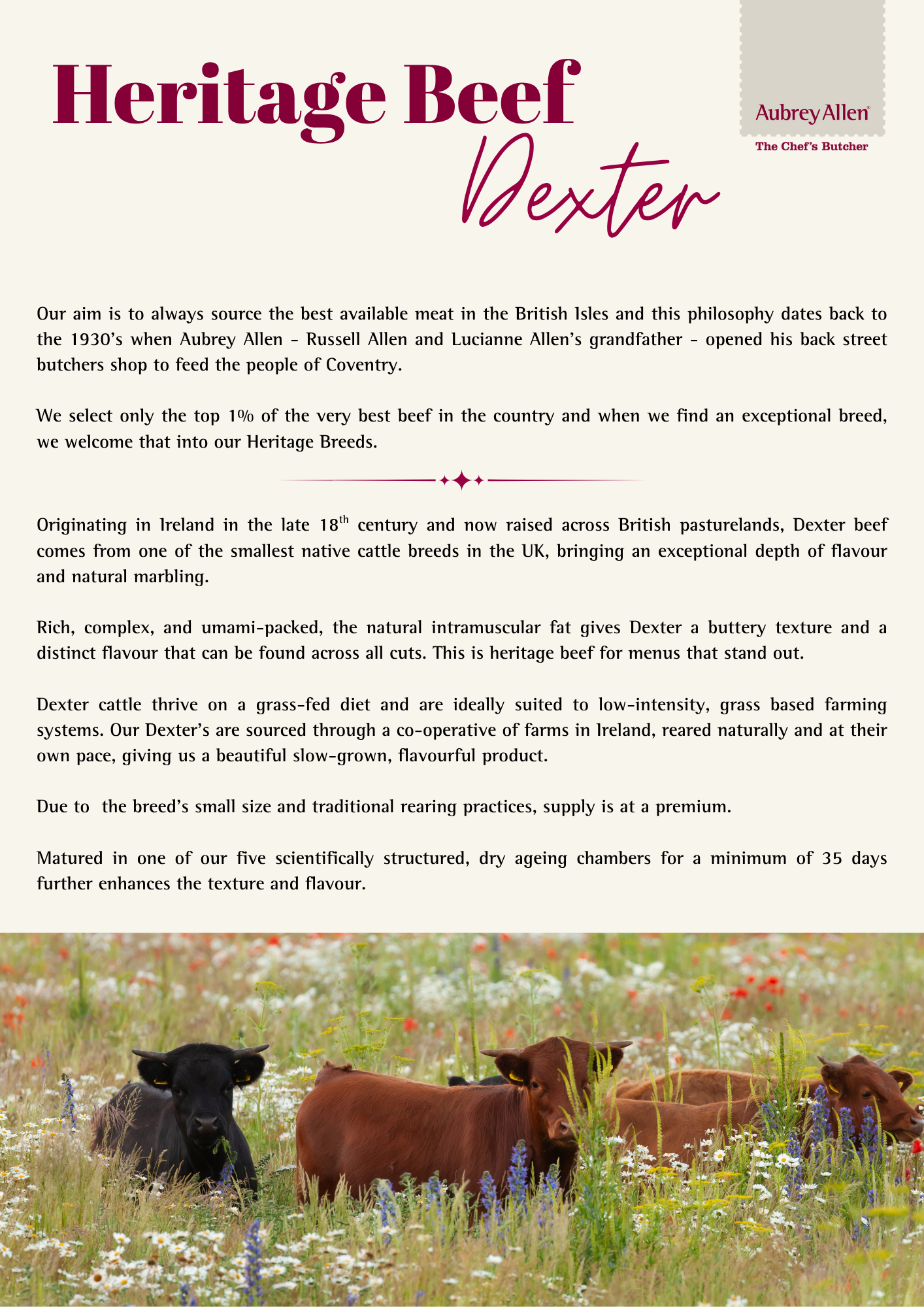 Aubrey Allen Heritage Beef – Dexter