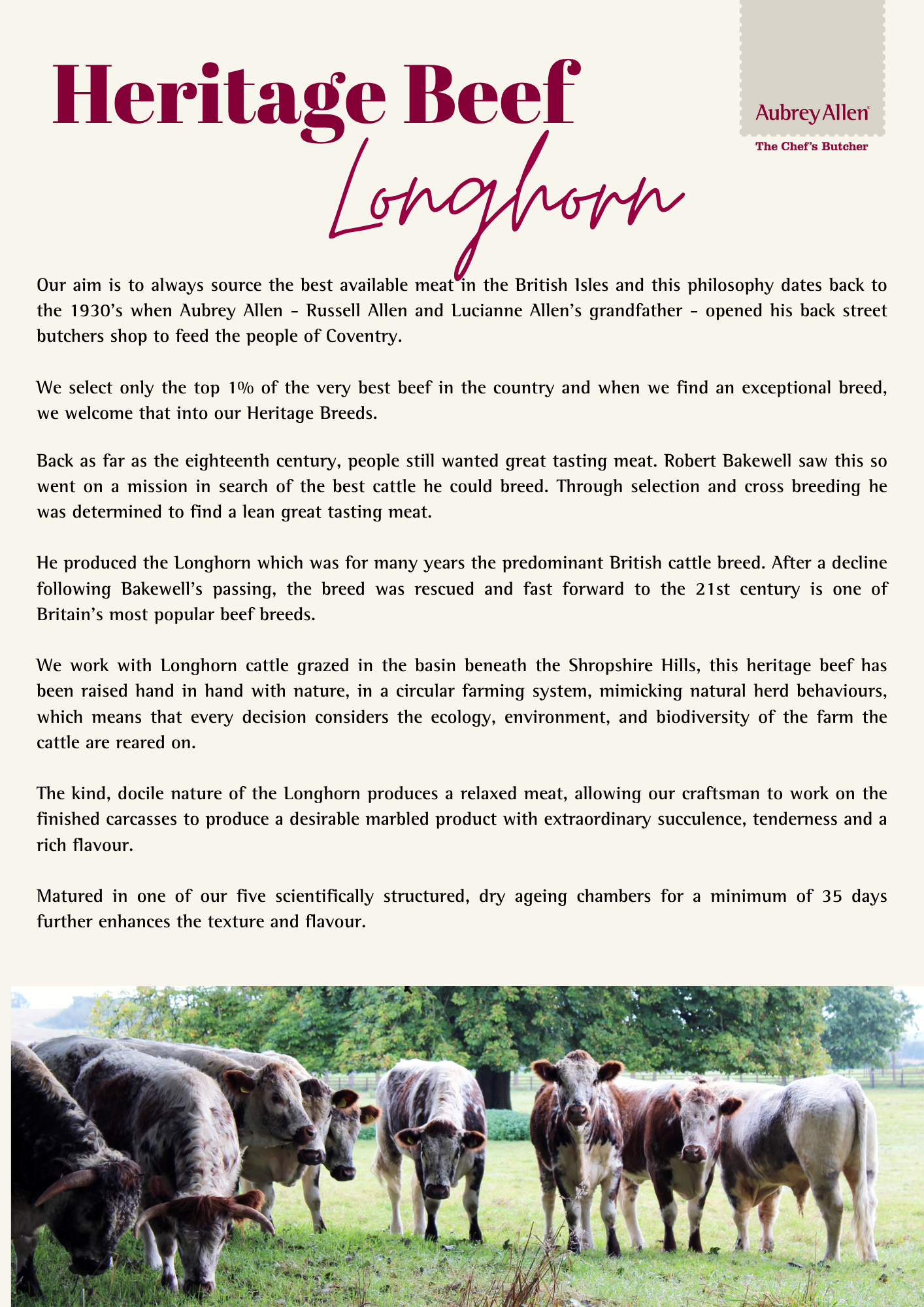 Aubrey Allen Heritage Beef – Longhorn